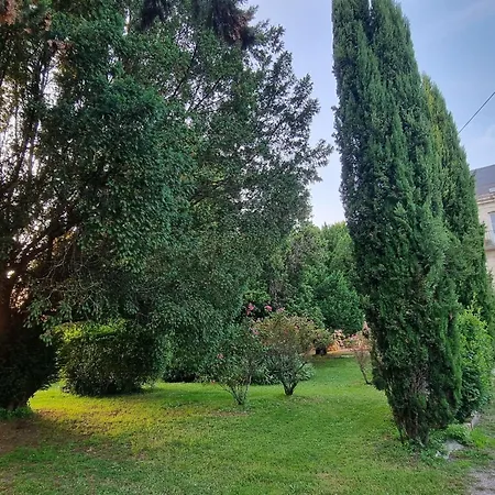 8-zimmer-schloss Mit Pool Und Eigenem Park By Interhome Saint-Just-Luzac